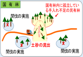 国有林内手入れ不足の民有林