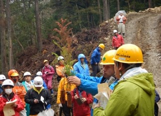 コンテナ苗植栽見学会