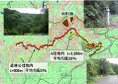 路網計画案の提案助言