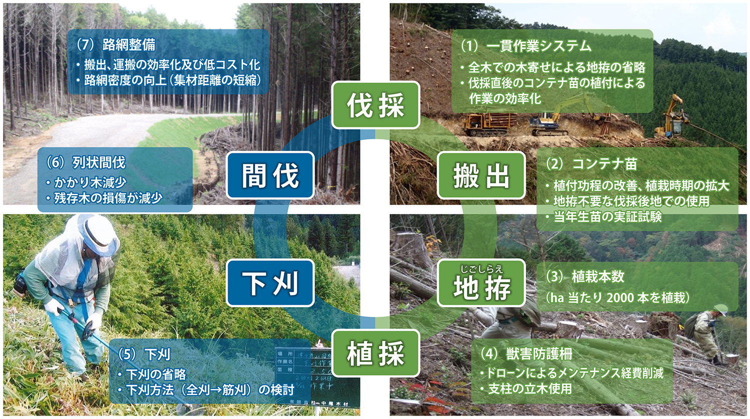 林業システム図