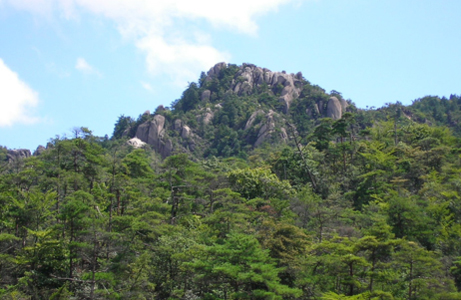 近江湖アルプス自然休養林