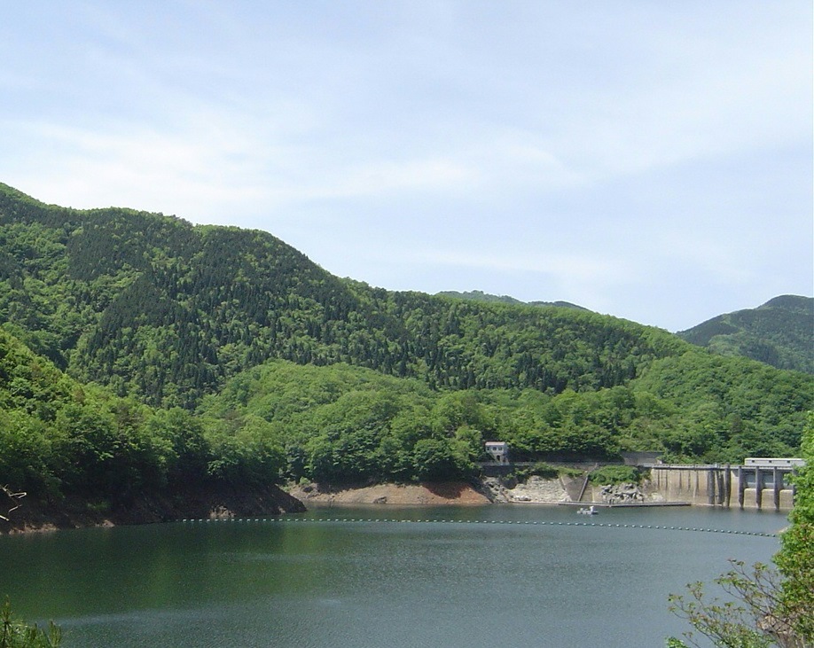 水源涵養タイプ