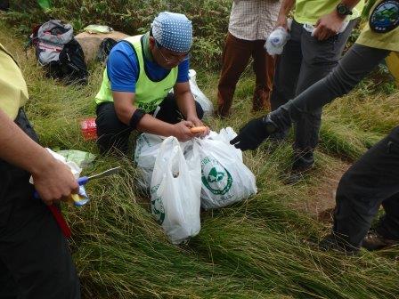 除去したオオバコ重量の計測