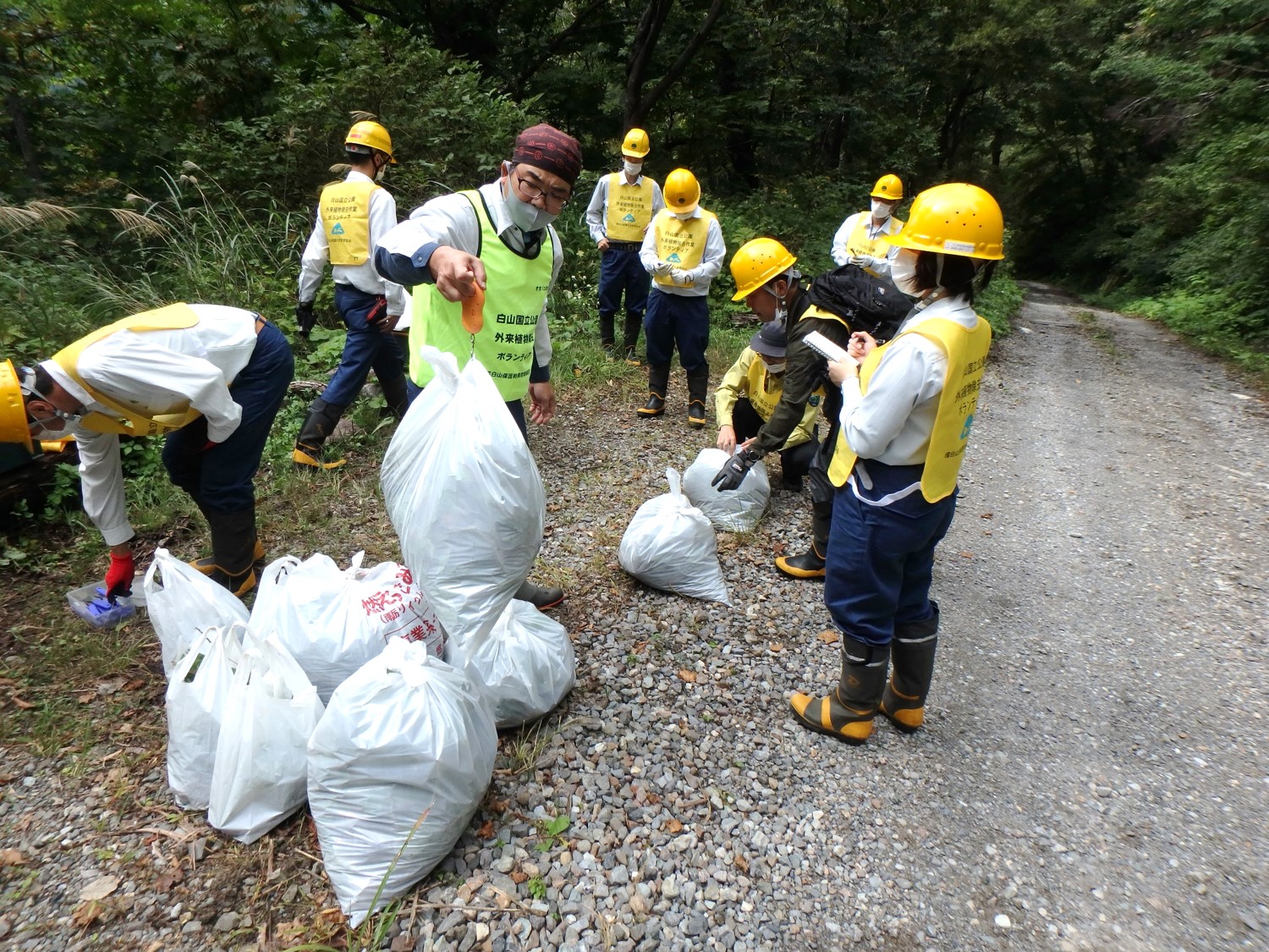 除去した重さを量る様子