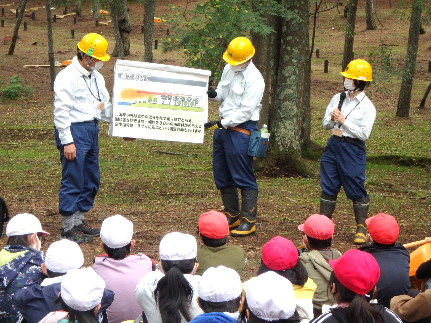 職員による海岸林の役割の説明