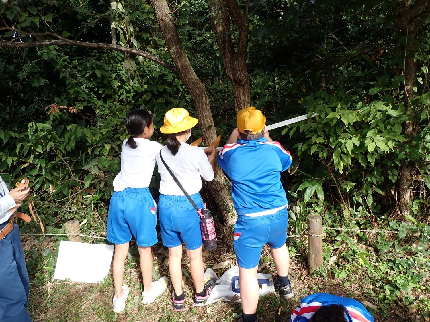 輪尺の使い方体験