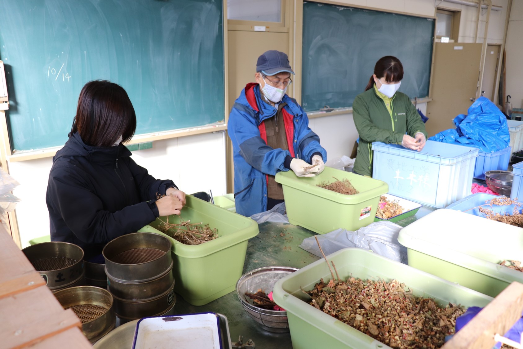 精選作業の様子2
