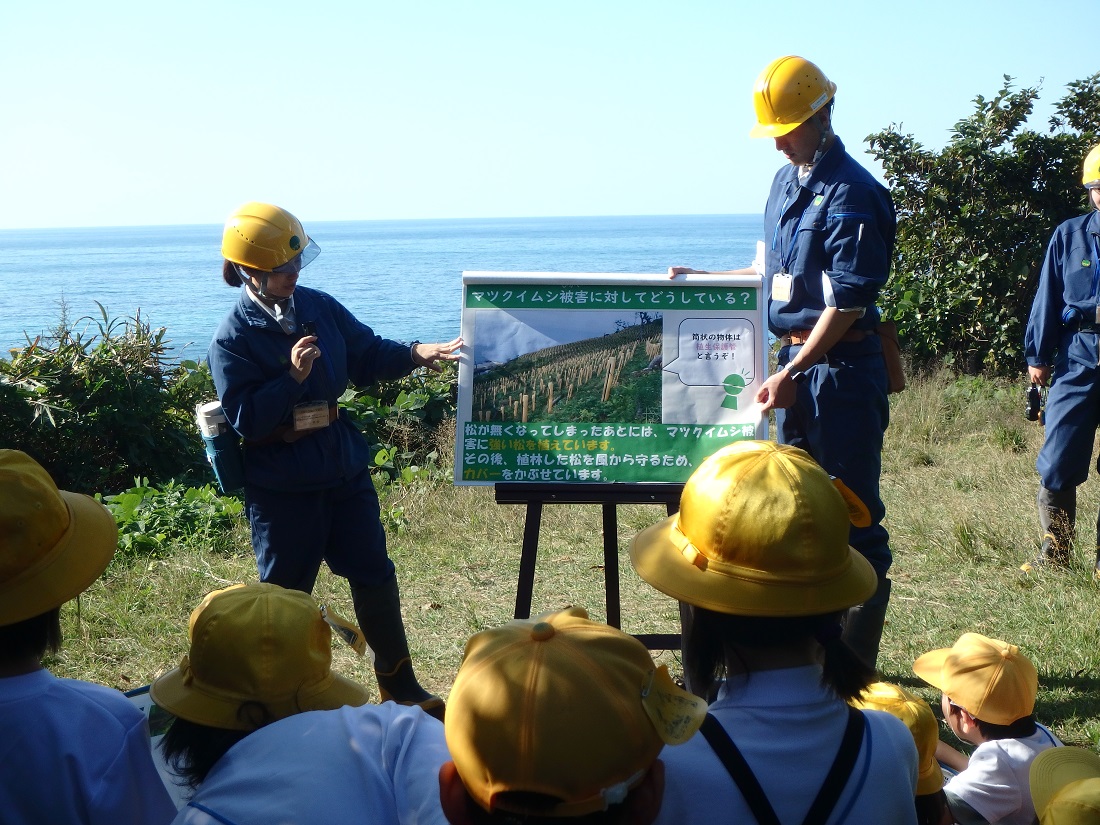 海岸防災林の話の写真