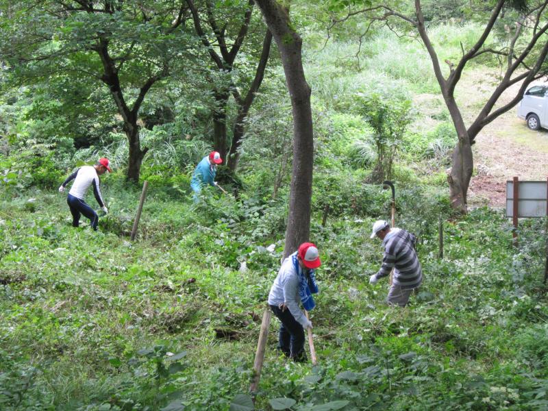 「ドコモ垂氷の森」下刈作業