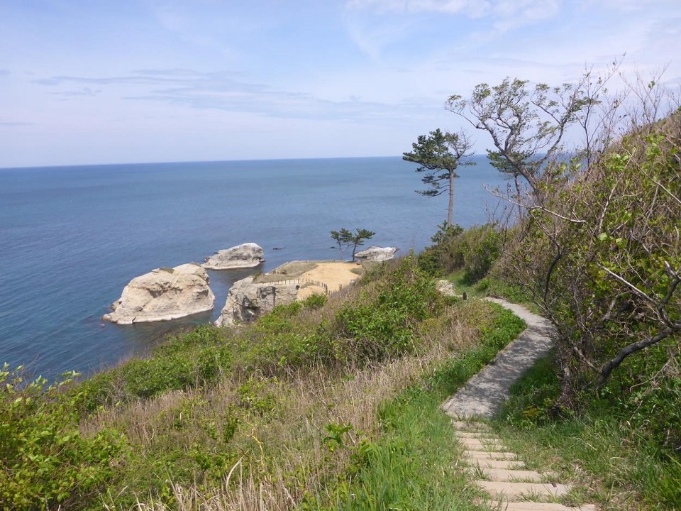 加賀海岸自然休養林