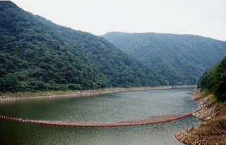 釈迦ヶ岳林木遺伝資源保存林