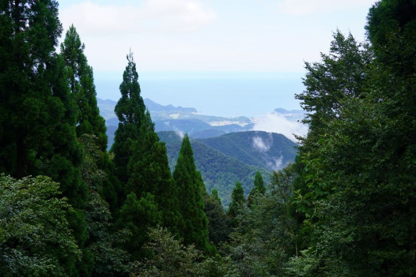 三川山奥生物群集保護林