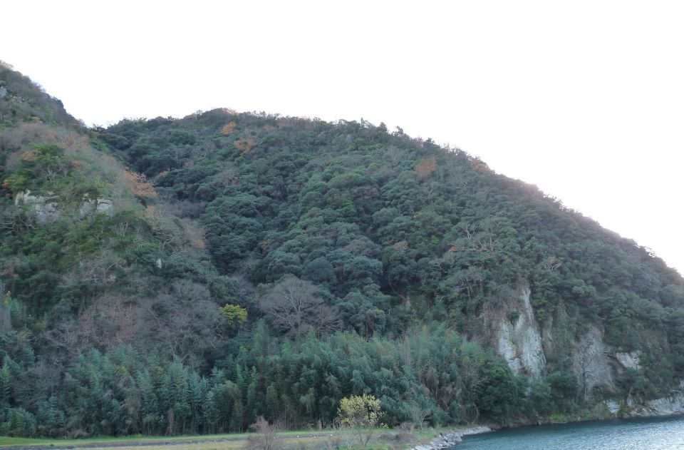 滝ノ口山アラカシ希少個体群保護林