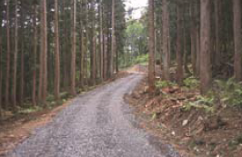 林業専用道