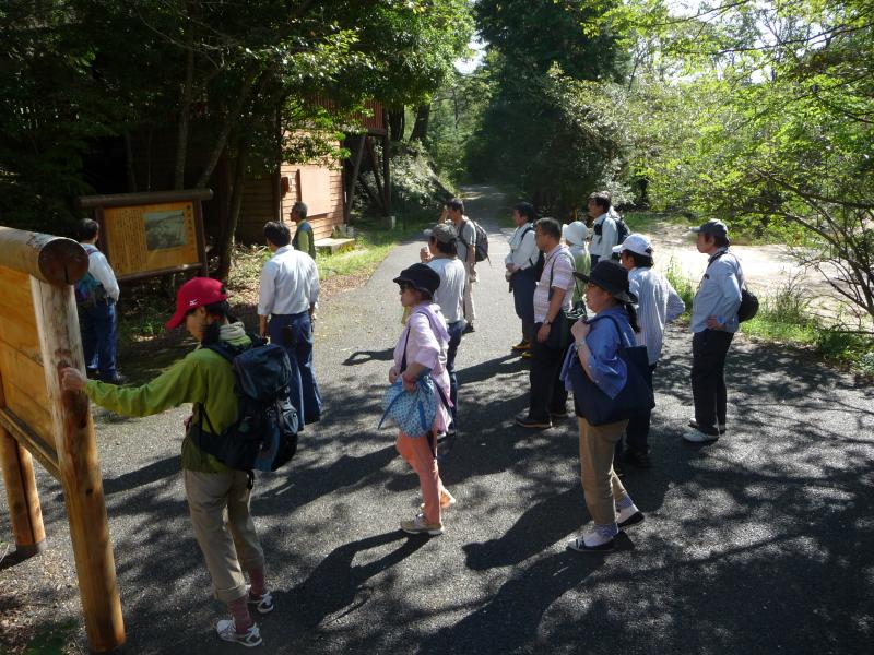 写真：一丈野