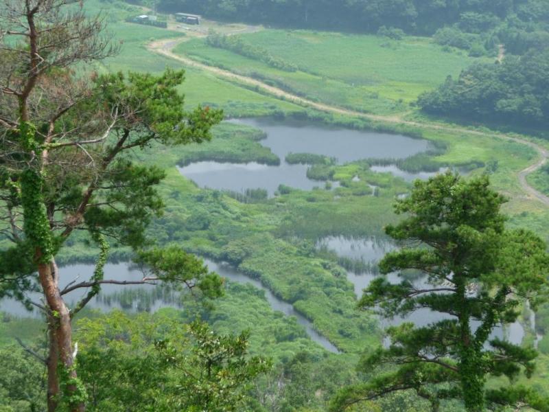 天筒山風景林山頂から中池見湿地