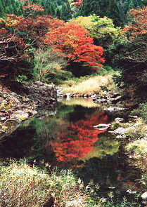 神之瀬峡県立自然公園