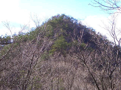 葦獄山（冬）　倉造山国有林