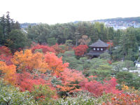 東山写真