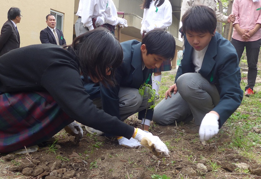 4月植付