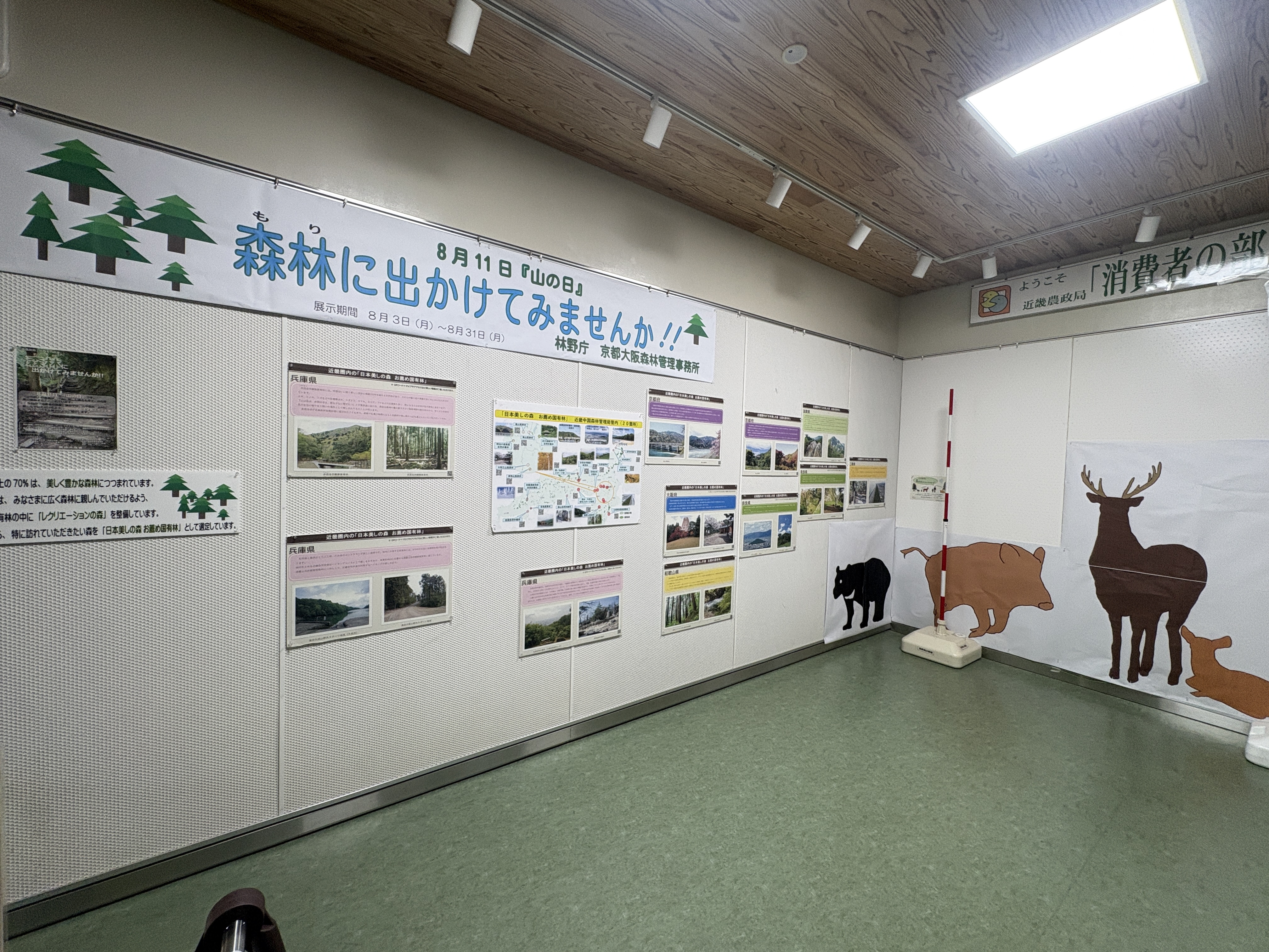 消費者の部屋 全景