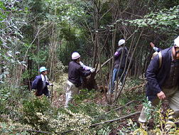 高台寺山国有林で「伝統文化の森事始」を開催