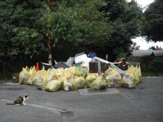 回収したゴミの山