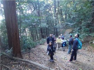 自然観察をしながら山頂公園に向かう参加者