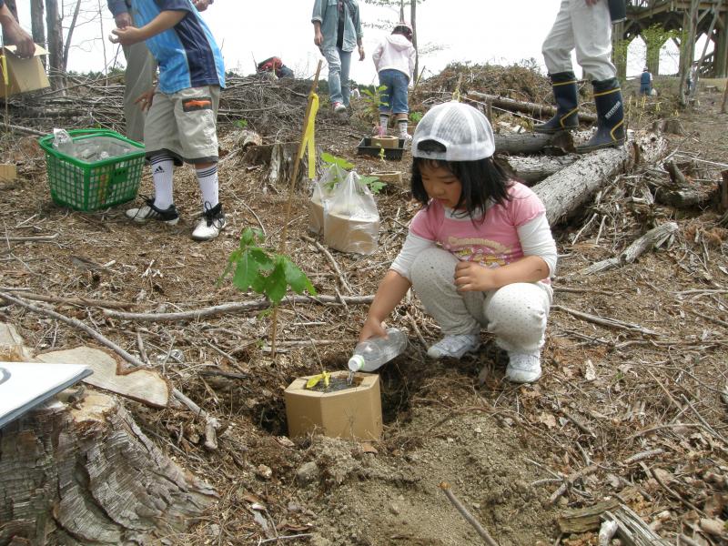 「カミネッコン」でコナラを植栽