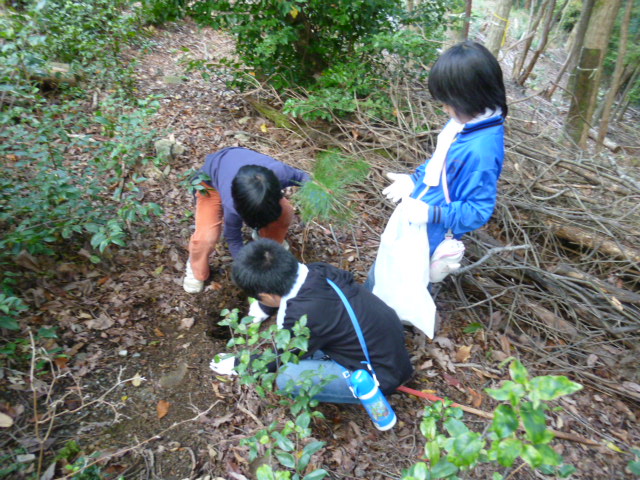 植樹の様子