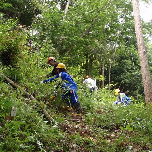 茅樹及び下草等の除去作業を行う生徒達
