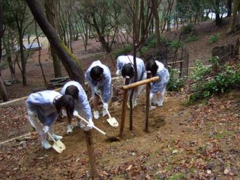 記念植樹に取り組む生徒達