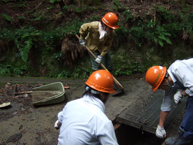 作業道の清掃