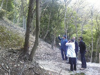 嵐山の植生回復現況等について説明