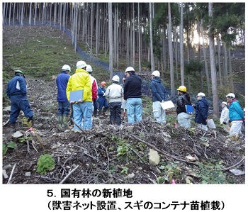 ⑤	国有林の新植地（獣害ネット設置、スギのコンテナ苗植栽）