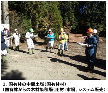 ③	国有林の中間土場（国有林材）（国有林からの木材集積場（用材：市場、システム販売）