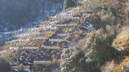 平成26年植栽前