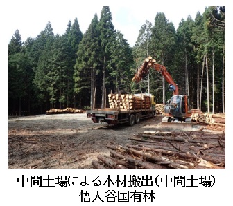 悟入谷国有林での中間土場による木材搬出の様子