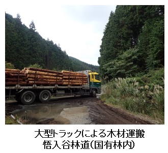 大型トラックによる木材運搬