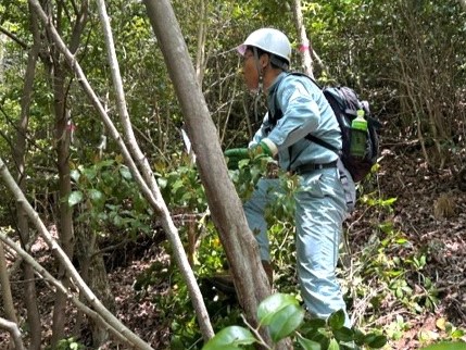 作業の様子（いなべ市長）