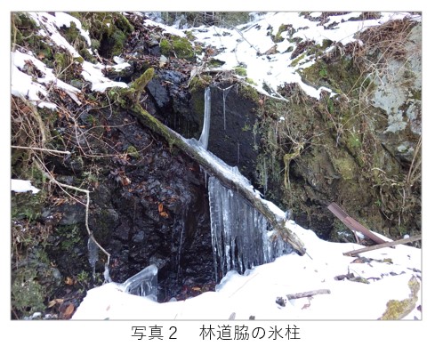 写真２　林道脇の氷柱