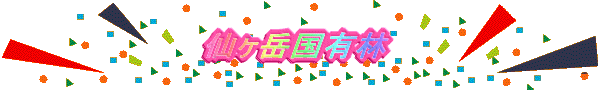 logo2