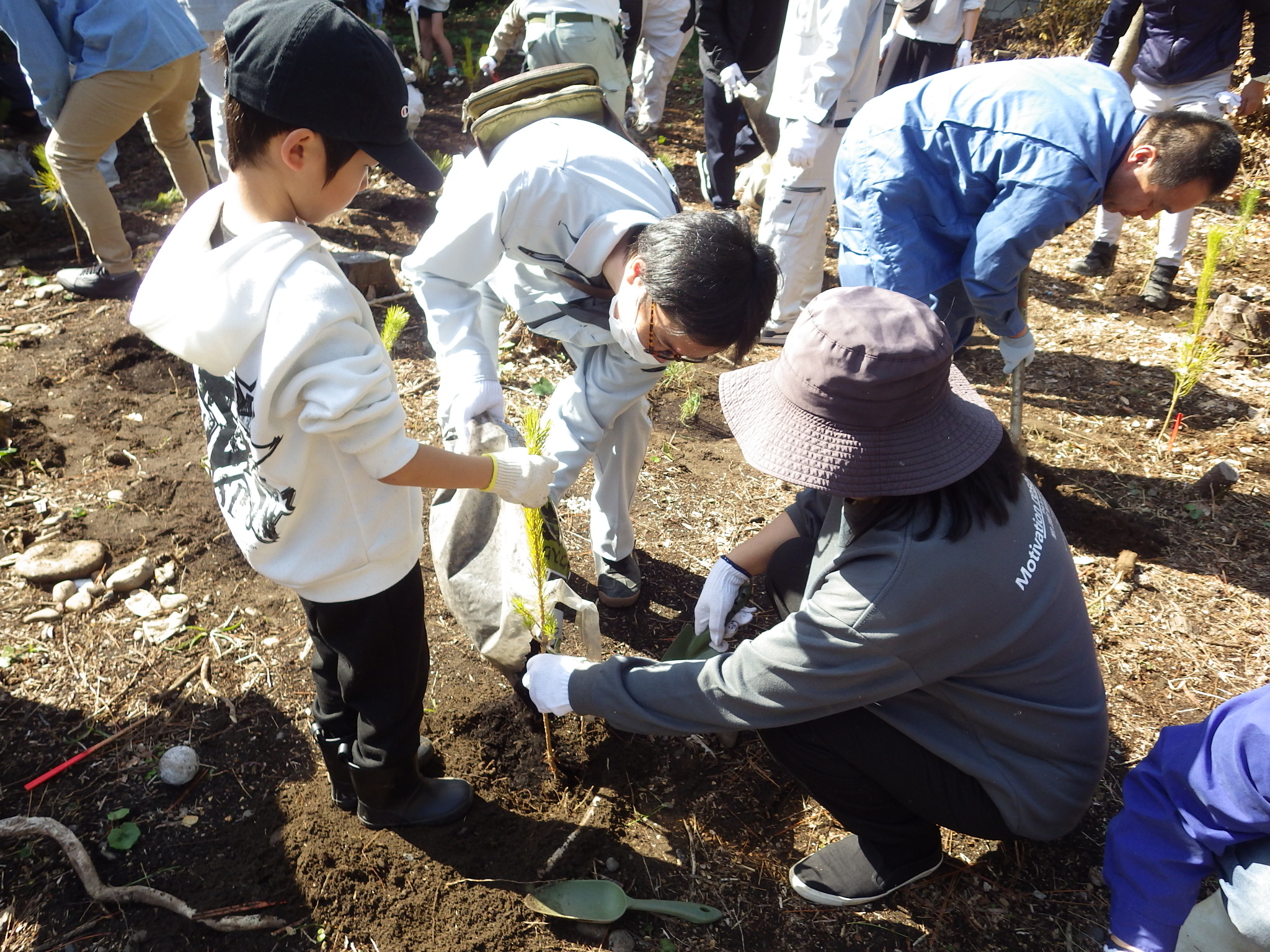 紀宝会場での植栽作業のようす男子児童