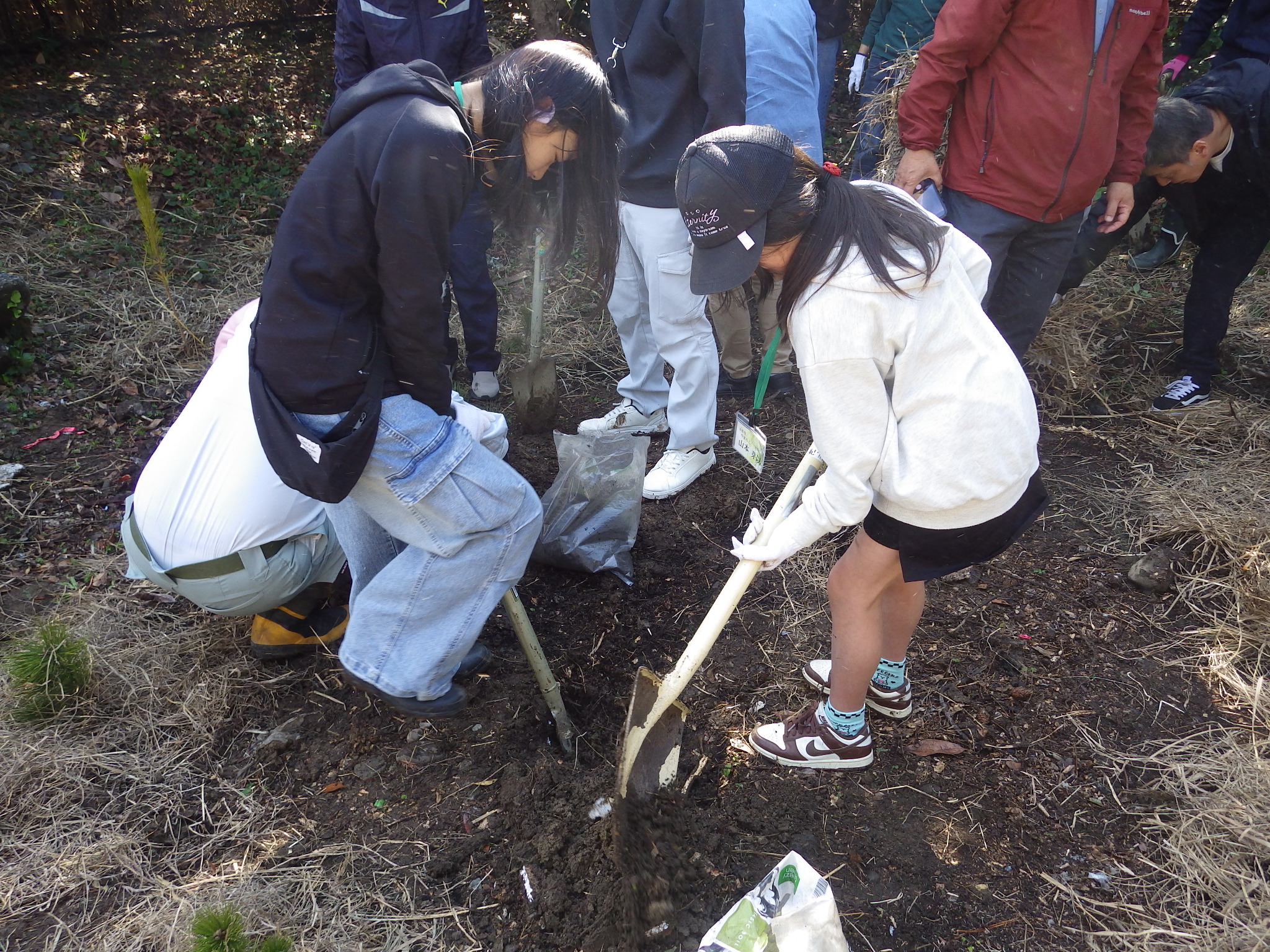 紀宝会場での植栽作業のようす女子児童