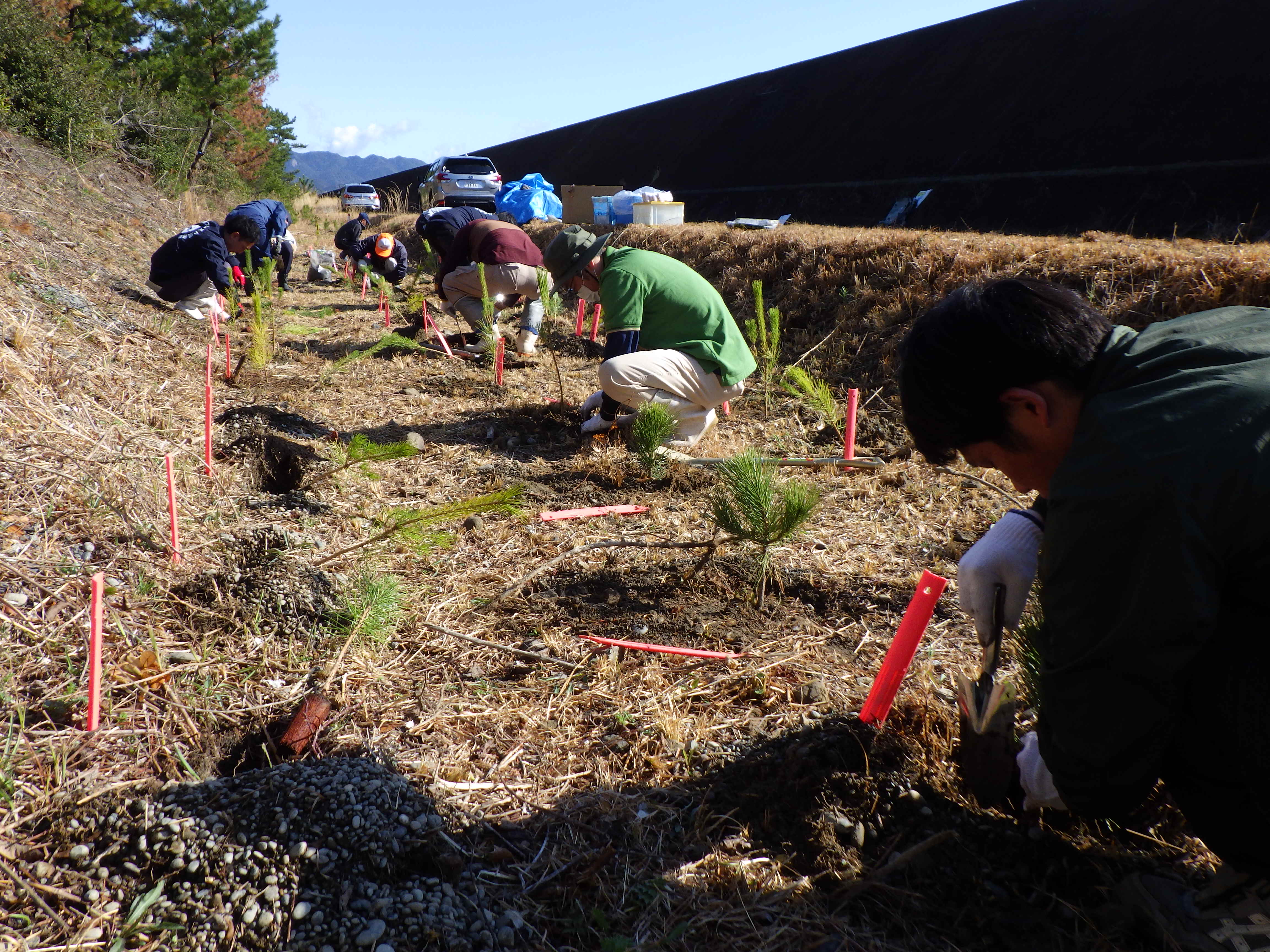 熊野会場での植栽作業のようす遠景