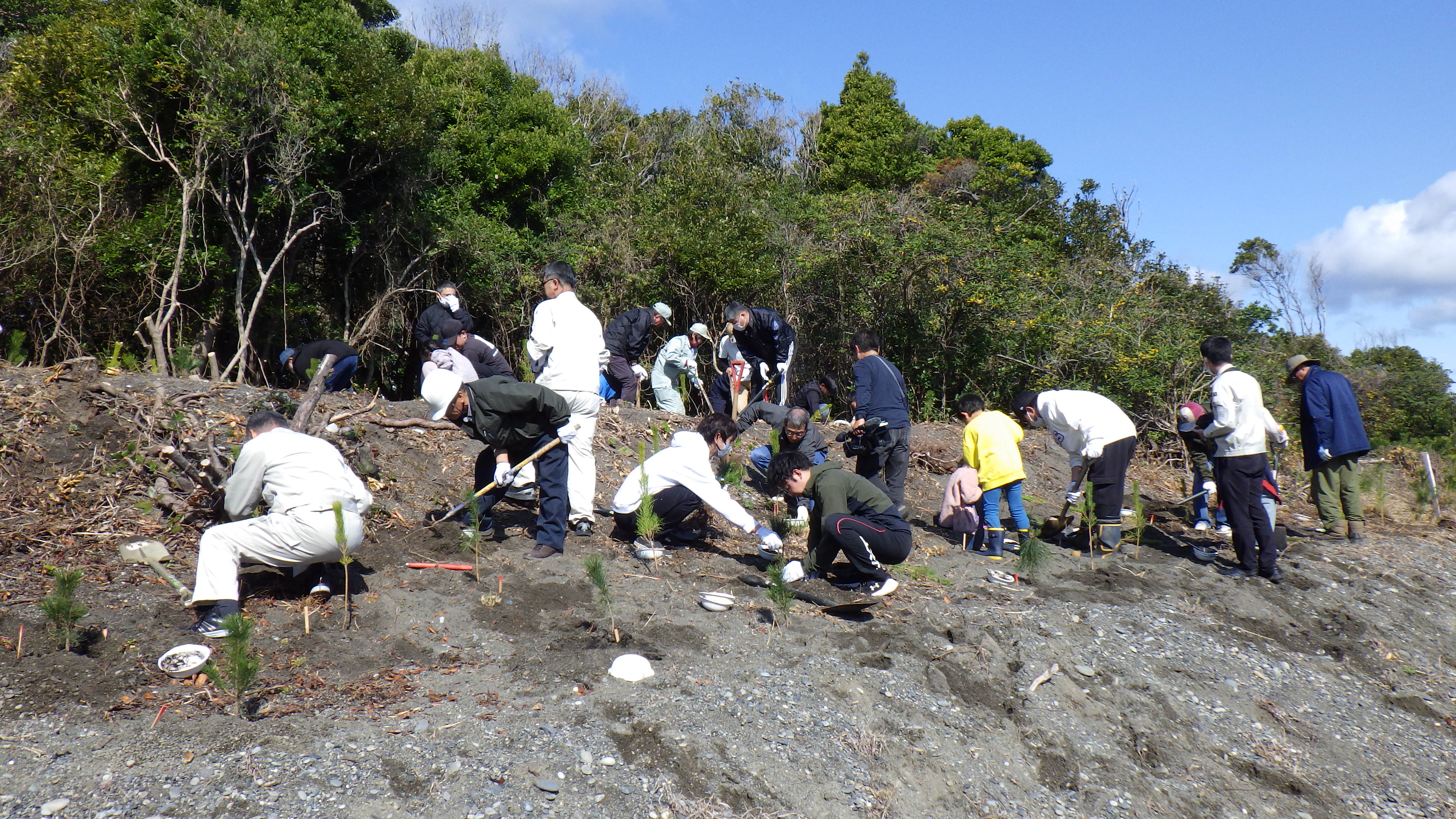 御浜会場での植栽作業のようす遠景