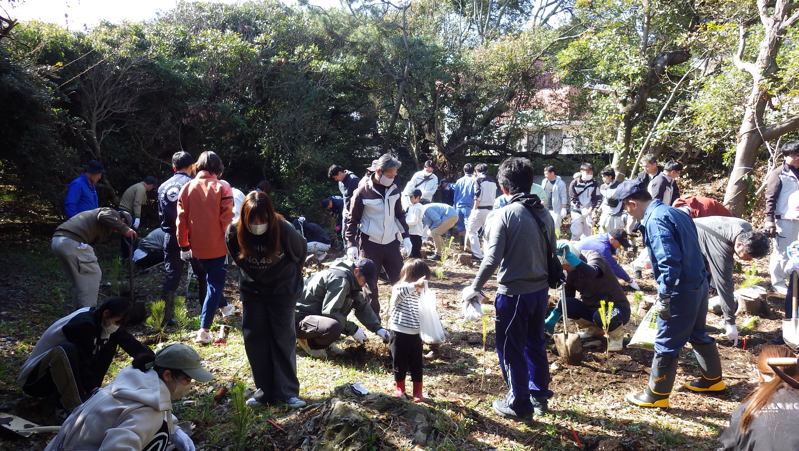 紀宝会場での植栽作業のようす遠景