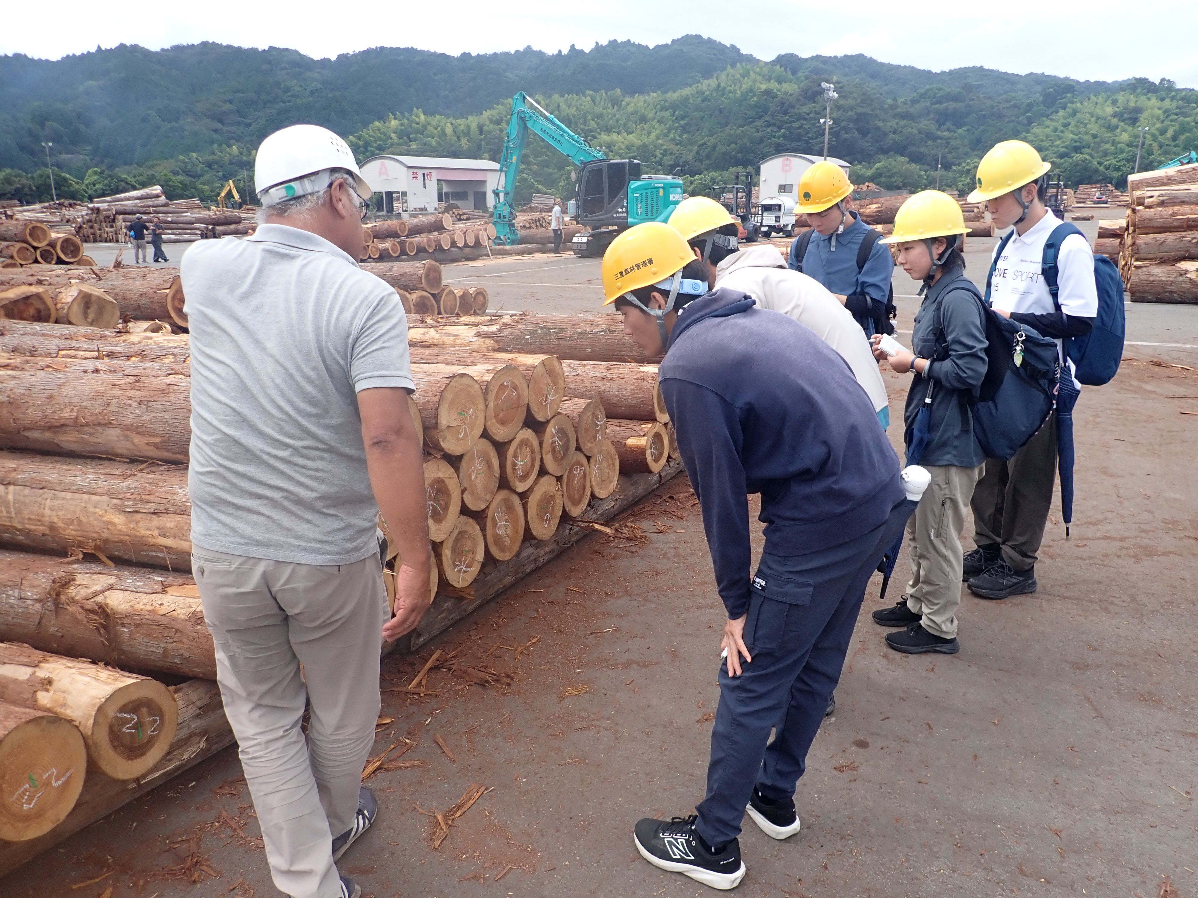 木材市場の視察