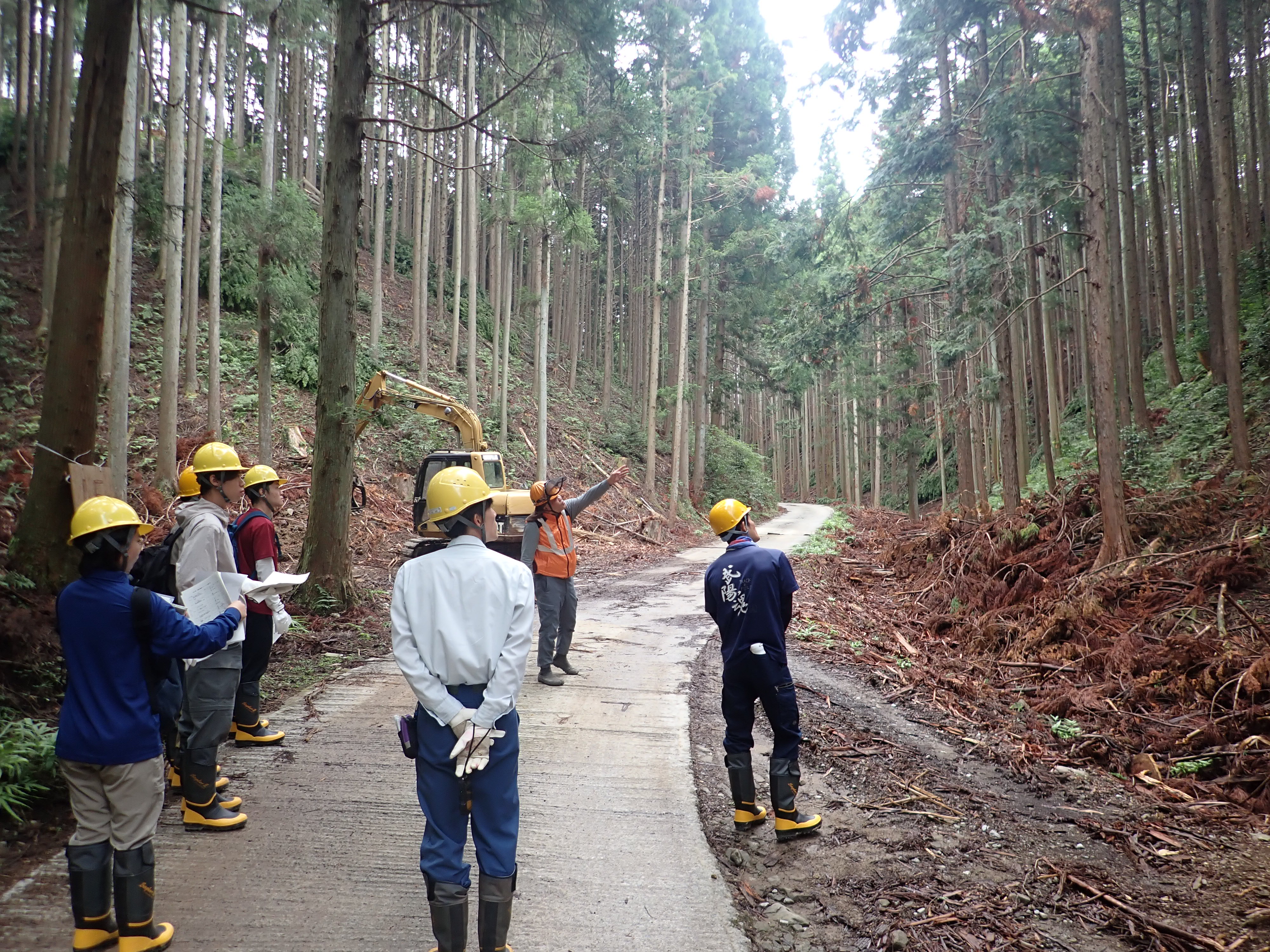 木材生産事業地の現地確認