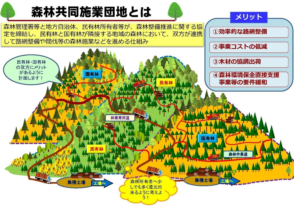 森林共同施業団地とは　説明図